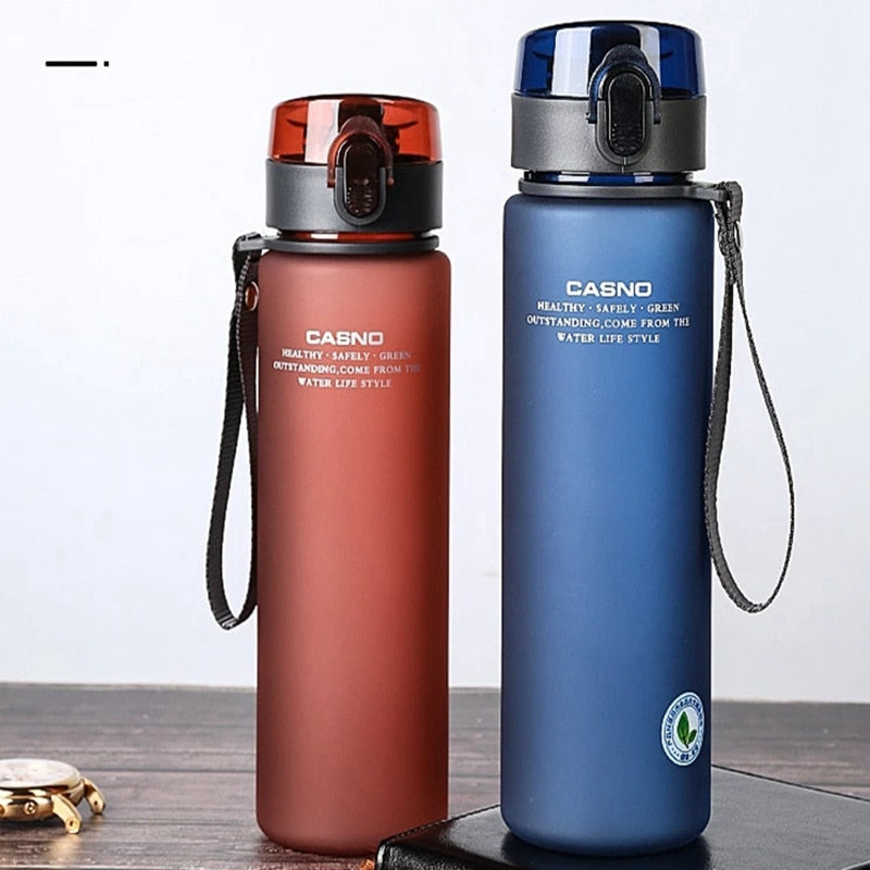 Insulated Leak Proof Water Bottle